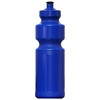 Budget Bottles Royal Blue